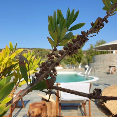 Anassa Cycladic Village Γαλησσάς Εξωτερικό φωτογραφία