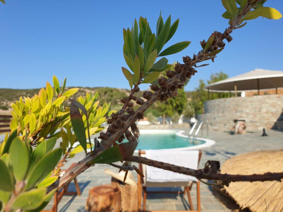 Anassa Cycladic Village Γαλησσάς Εξωτερικό φωτογραφία